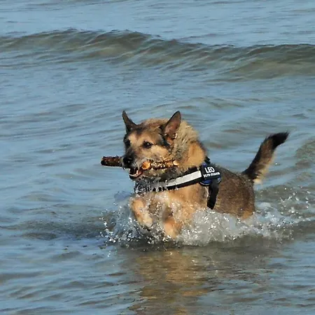 Aufschwung Ii Haushaelfte Apartament Fuhlendorf (Mecklenburg-Vorpommern)