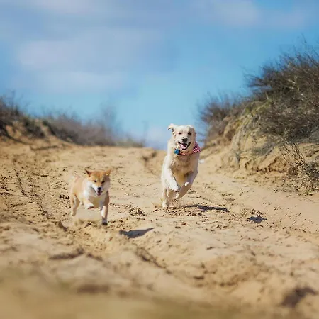 Aufschwung Ii Haushaelfte Apartament *