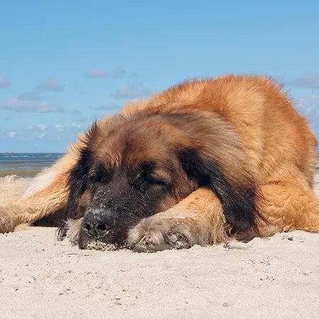 Aufschwung Ii Haushaelfte Apartament Fuhlendorf (Mecklenburg-Vorpommern)