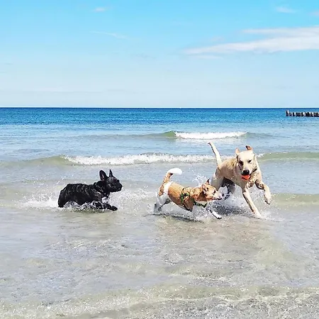 Apartament Aufschwung Ii Haushaelfte Fuhlendorf (Mecklenburg-Vorpommern)